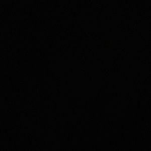 Meet your Posher, Layla